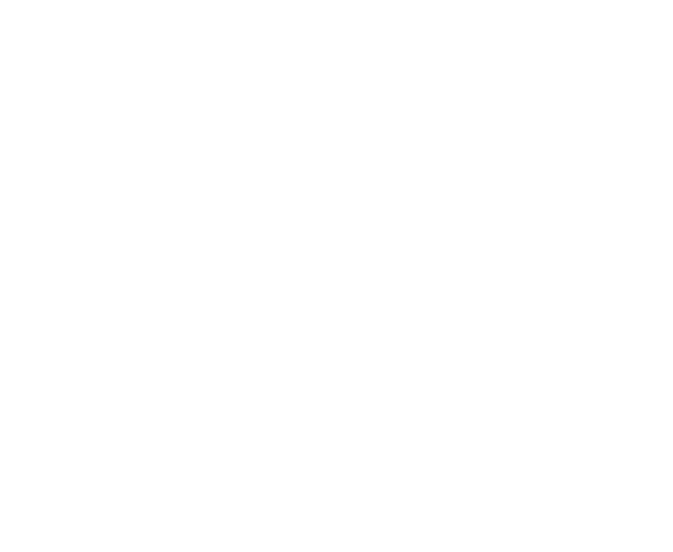 CHIA-SEED